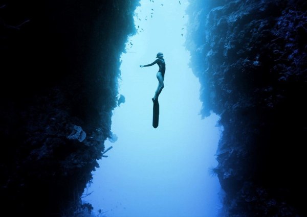 Красивое подводное плавание