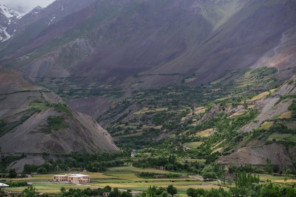 Таджик и ишак