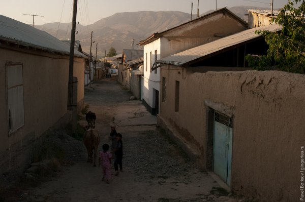Узбекистан деревня кишлак
