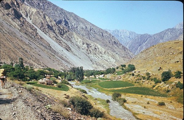 Нурота Сентоб