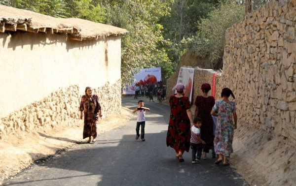 Ишакский Таджикистанский