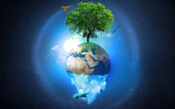 Планета земля с деревьями