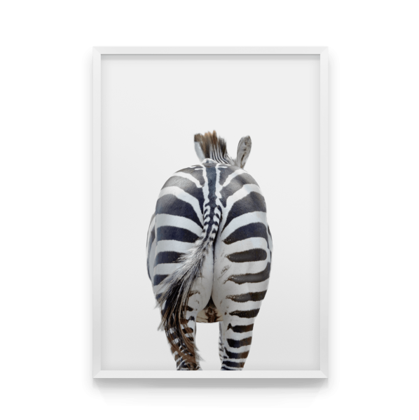 Картина Зебра