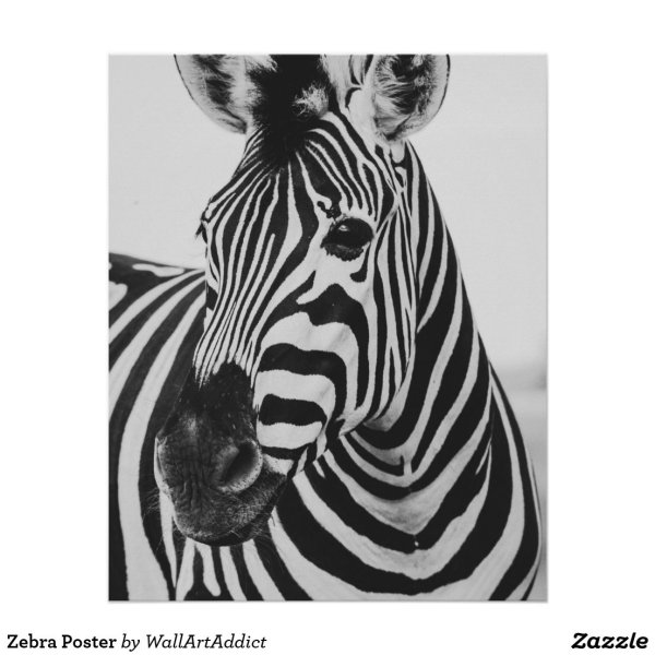 Интерьерные картины на черном фоне