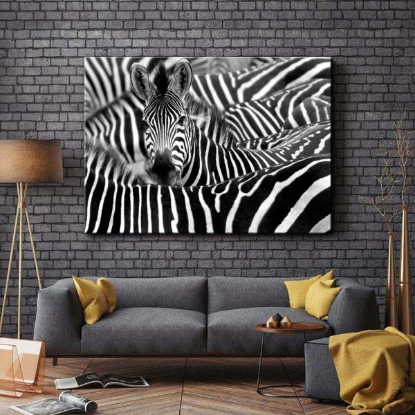 Картина Зебра черно белая