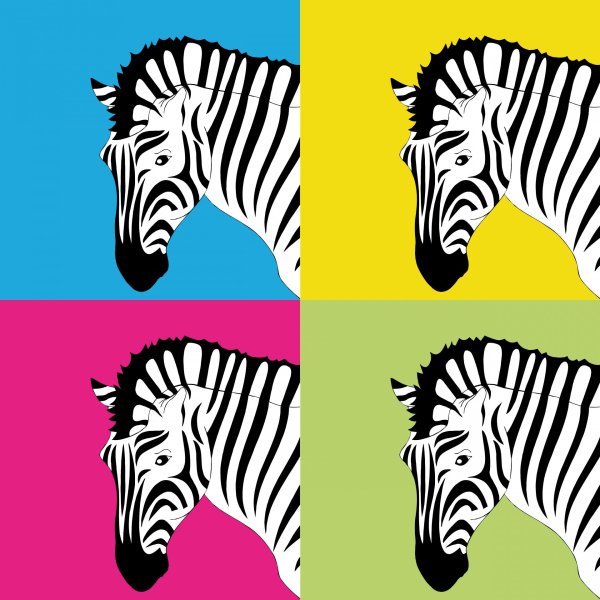 Зебра Постер на стену