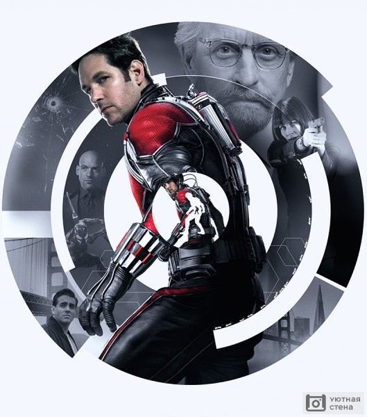 Постер к фильму человек муравей