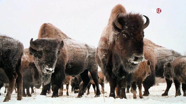Карта Республики Саха Якутия