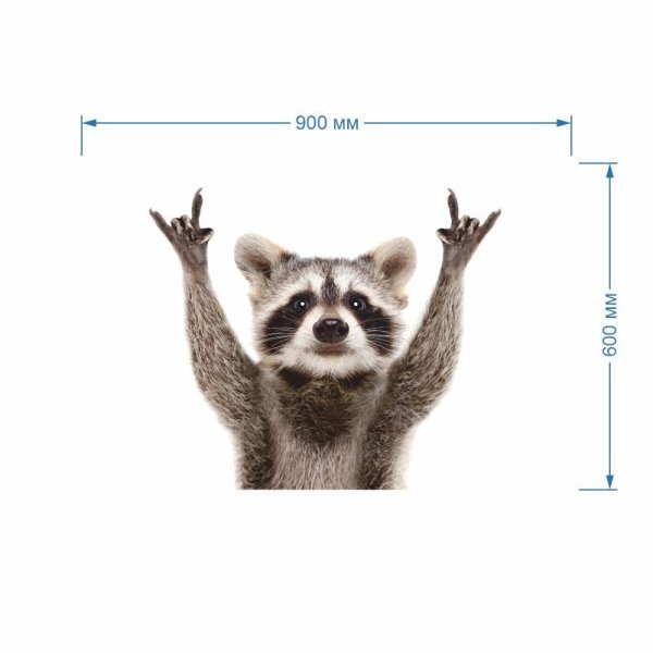 Енот с плакатом