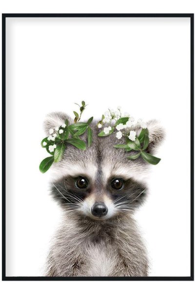 Постер енот 60х90 в рамке