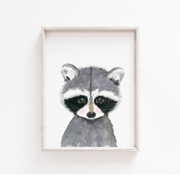 Енот с плакатом