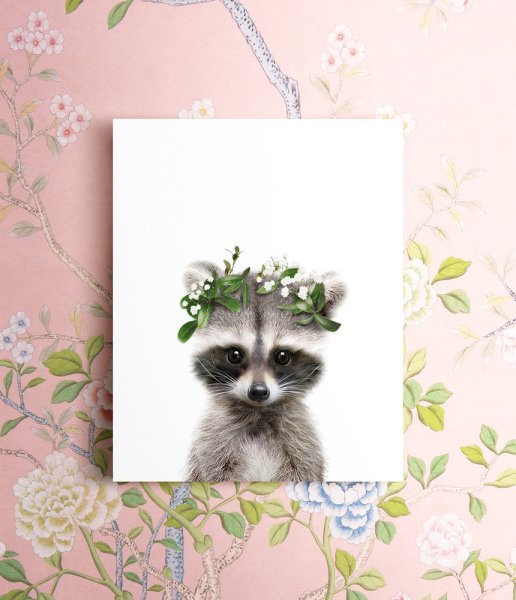 Леруа Мерлен енот