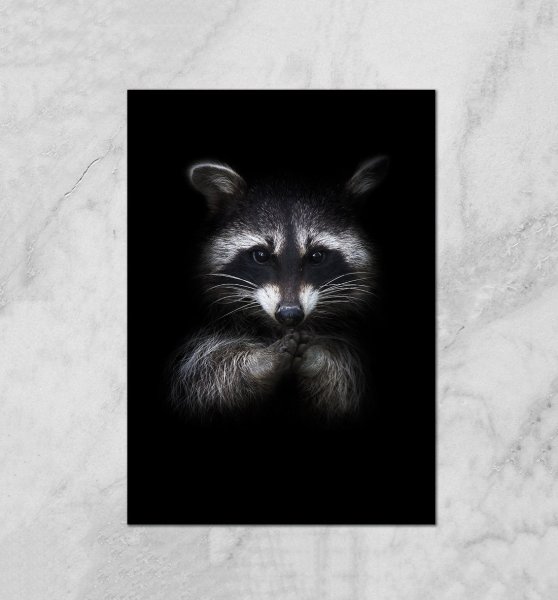 Постер енот в очках