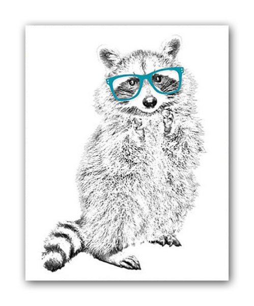 Плакат с енотом печать