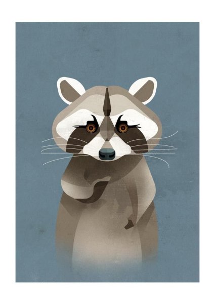 Постер енот