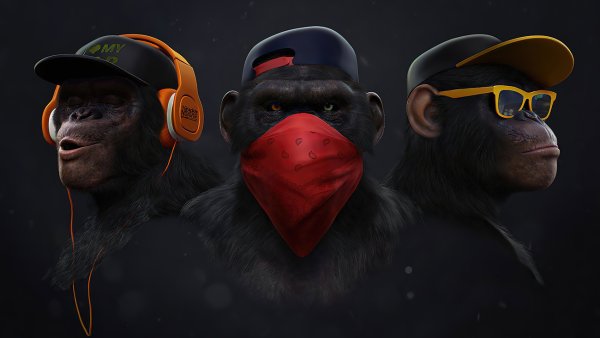 Картина Gangster Monkey