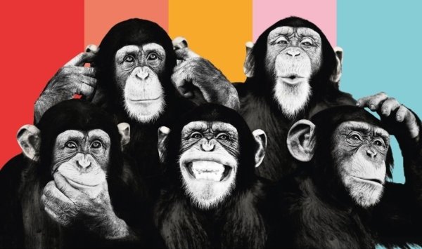 Обезьяна с плакатом