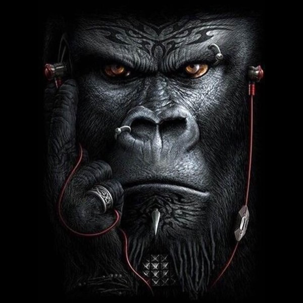 Крутая обезьяна