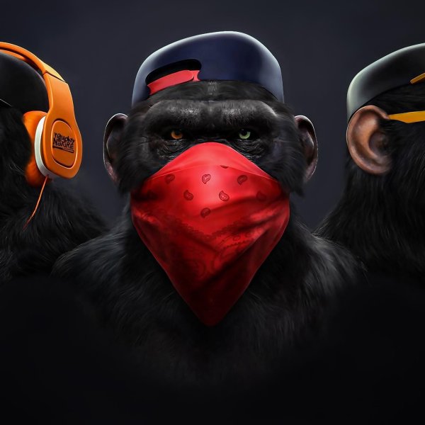 Обезьяна в бейсболке