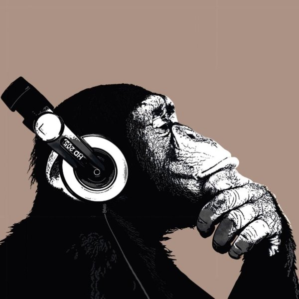 Постеры обезьяна с наушниками