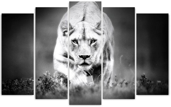 Модульная картина Toplight TL-pm0015