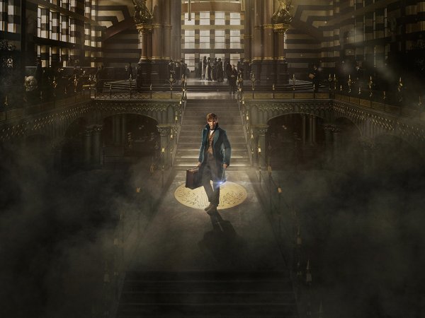 Fantastic Beasts and where to find them