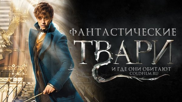 Фантастические-твари-и-где-они-обитают Постер