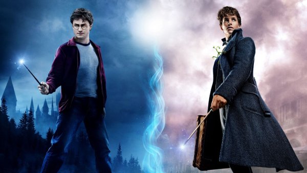 Гриндевальд в Гарри Поттере