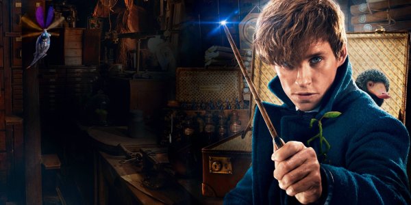 Ньют саламандер 2016