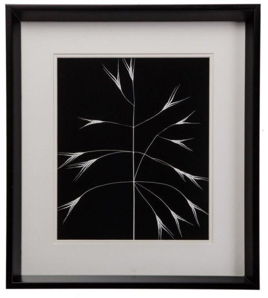 Картина в черной раме