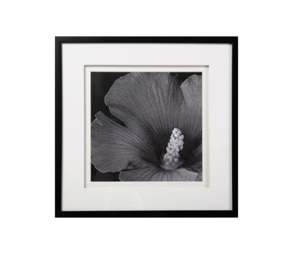 Черно белая картина в раме
