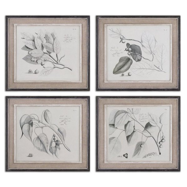 Графика в паспарту