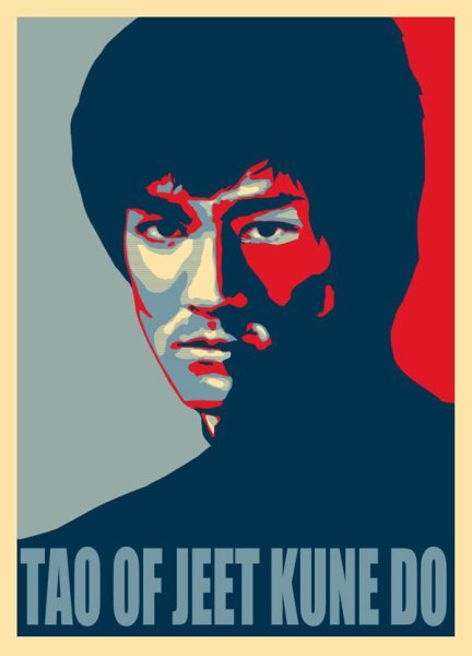 Движения Брюс ли