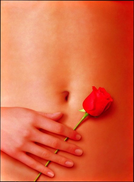 Красота по-американски фильм 1999 Постер