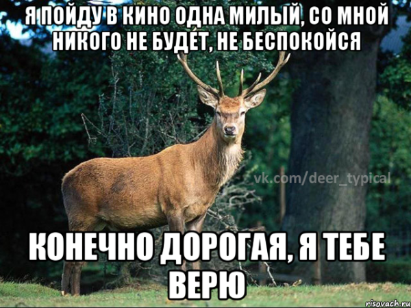 Не беспокойся дорогая фильм