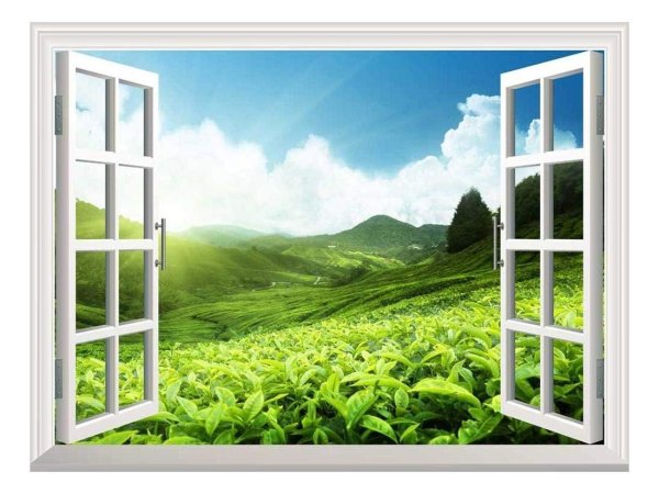 Баннер вид из окна