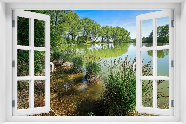 Пейзаж в окне