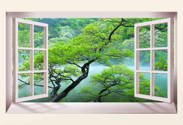 Картина фальш окно