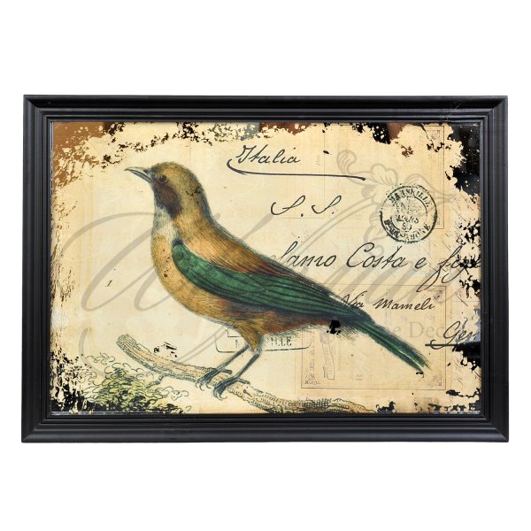 Постеры с птичками