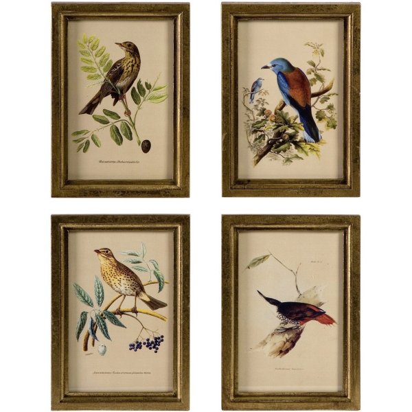 Синяя птица акварель