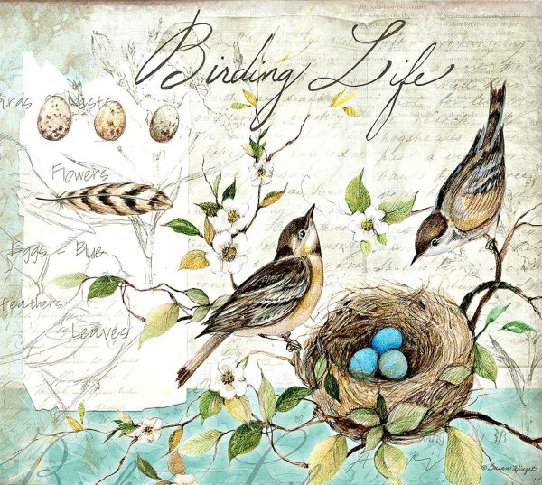 Множество птиц