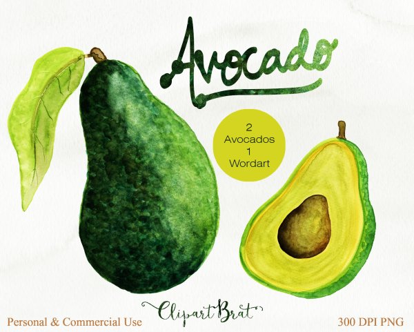Авокадо рисунок