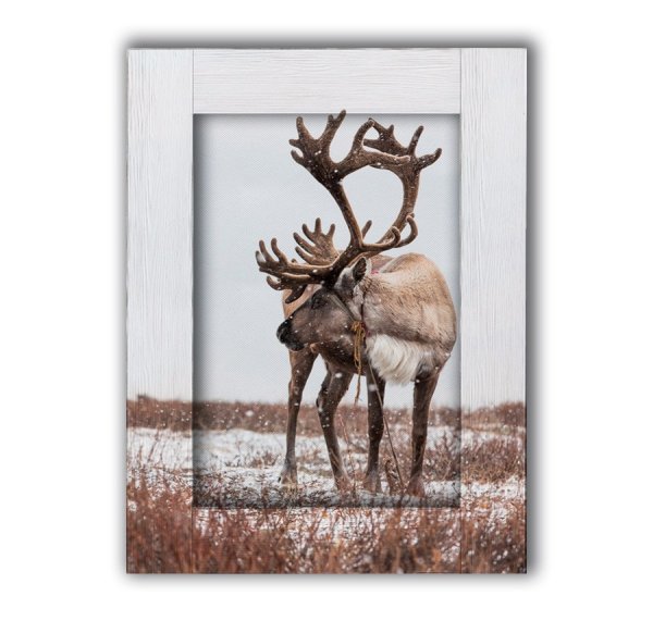 Картины с оленями в интерьере