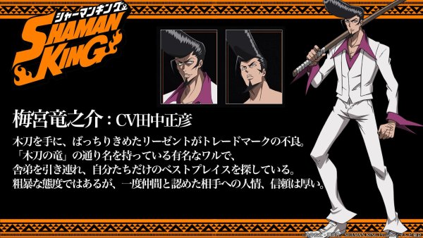 Король-шаман Постер