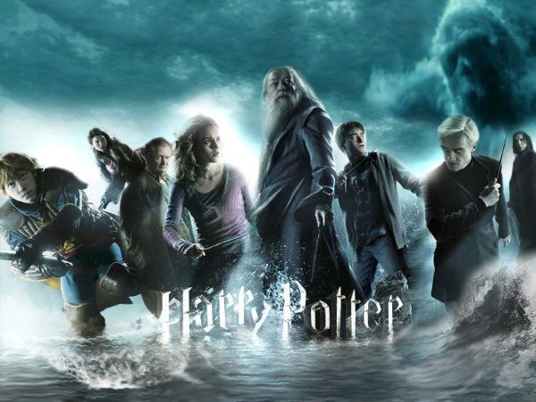 Harry Potter and the Deathly Hallows: Part 1 (2010)