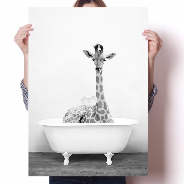 Постеры для ванной комнаты и туалета