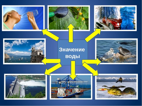 Значение воды