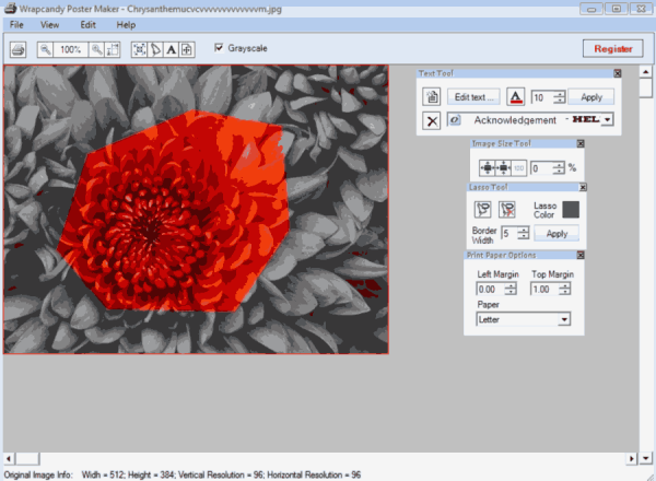 Orion Flyer maker Pro