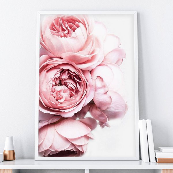 Постеры Сканди пионы