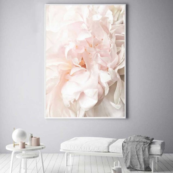 Пион канвас